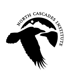NCI Logo - square black NCI Logo - square black